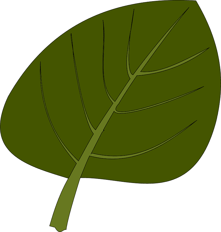 Leaf clipart free download