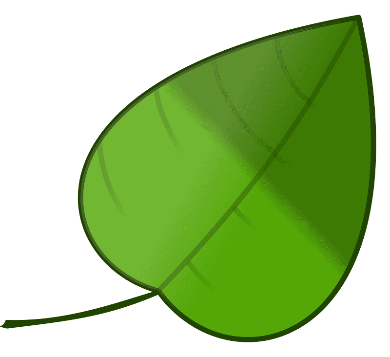 Leaf clipart free