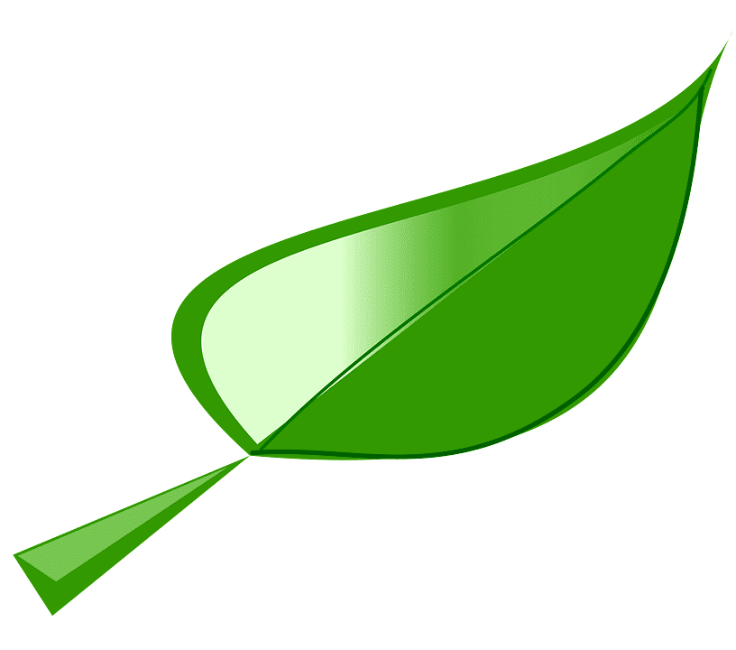 Leaf clipart picture