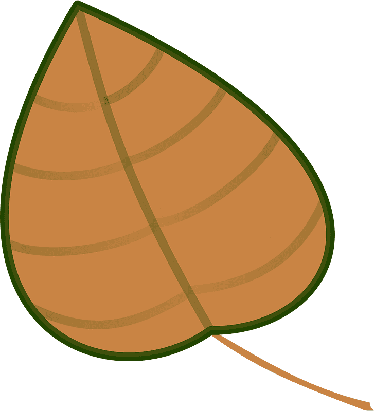 Leaf clipart png for kids