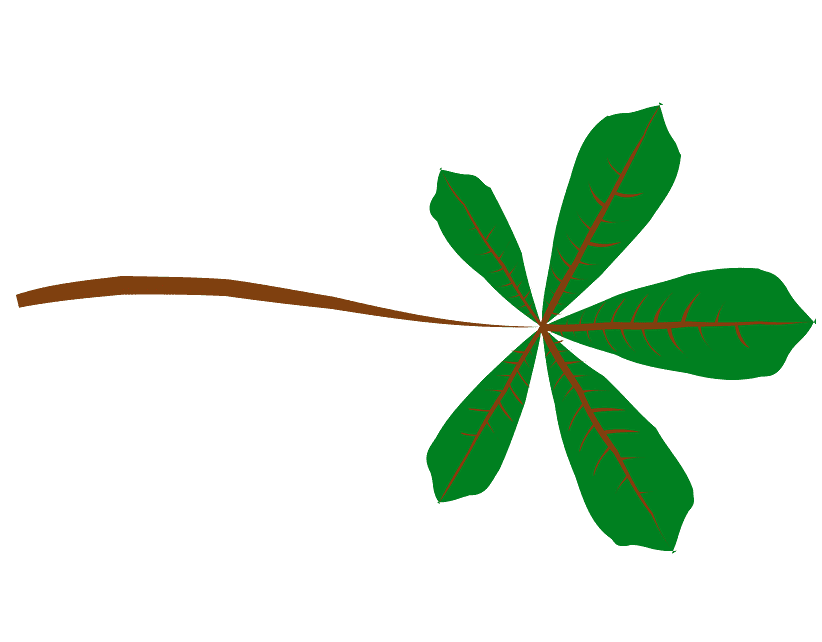 Leaf clipart png picture