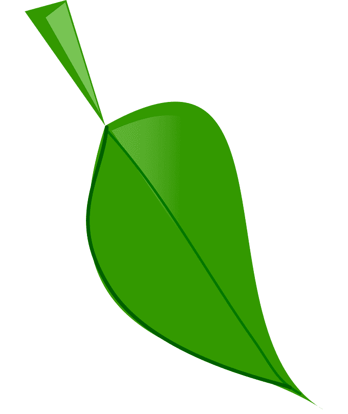 Leaf clipart png