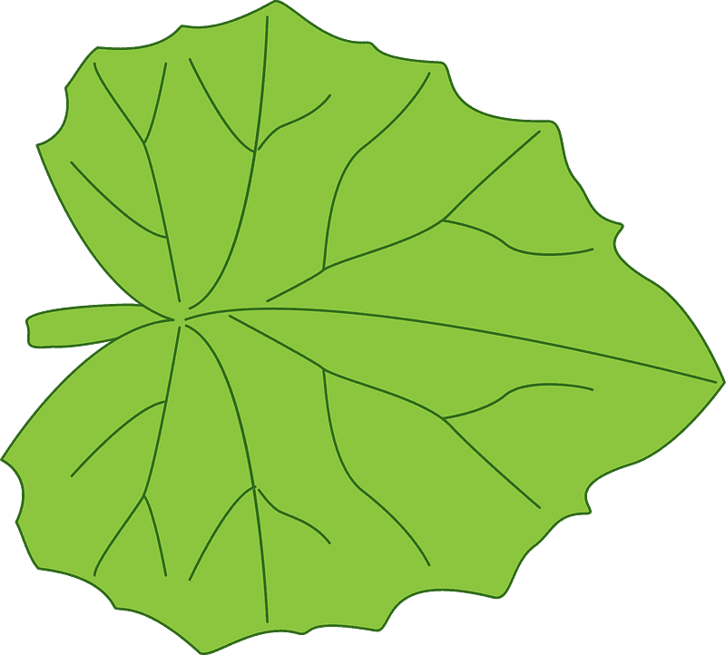 Leaf clipart transparent for free