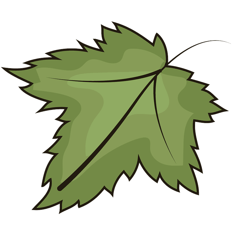 Leaf clipart transparent free
