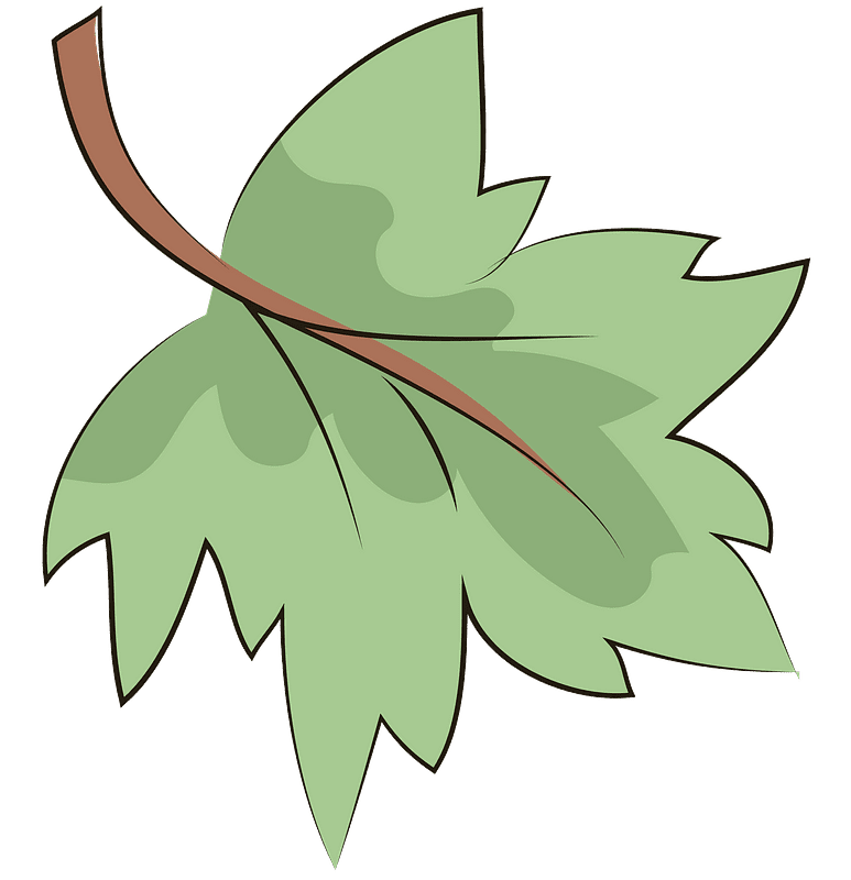 Leaf clipart transparent