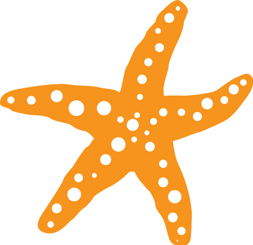 Orange starfish clipart transparent