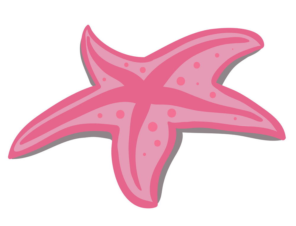 Pink starfish clipart