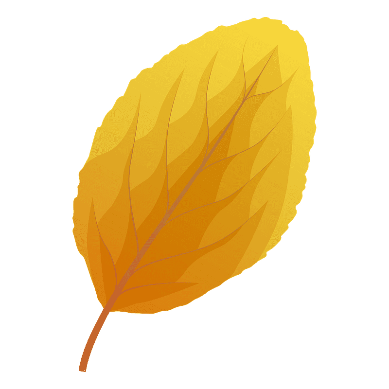 Plum Leaf clipart transparent for free