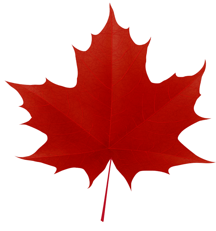 Red maple leaf clipart transparent