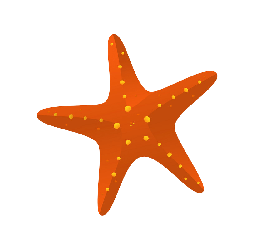 Starfish icon clipart transparent