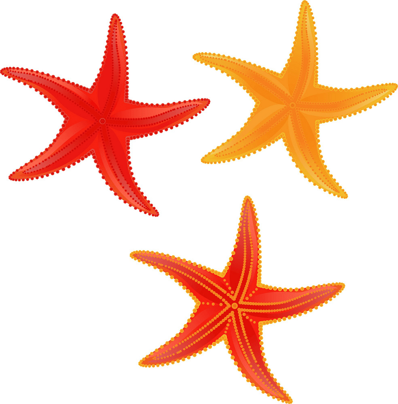 Starfishes clipart 1