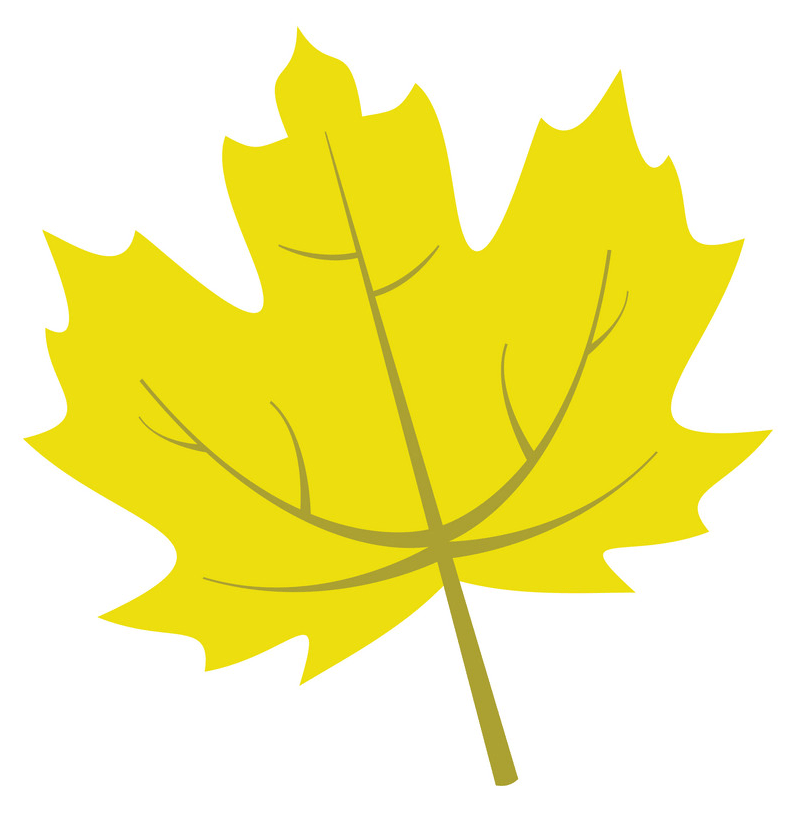 Yellow maple leaf clipart
