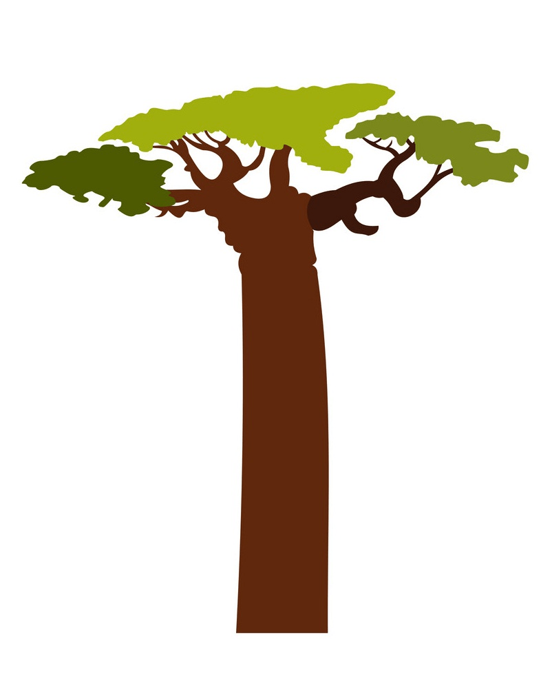 baobab tree clipart