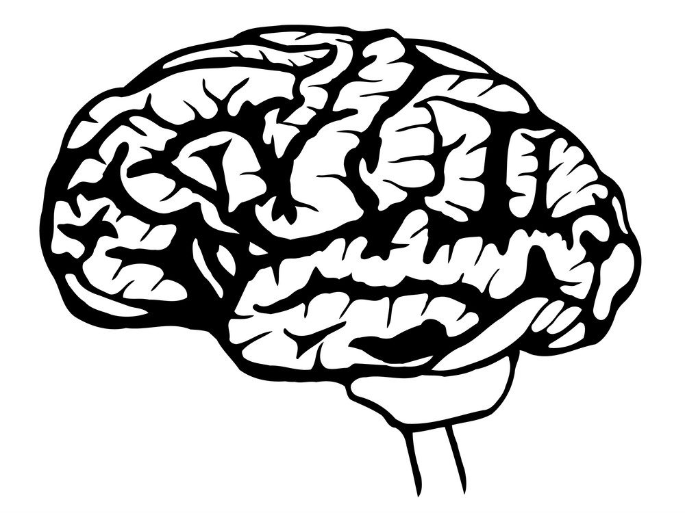 black and white brain png