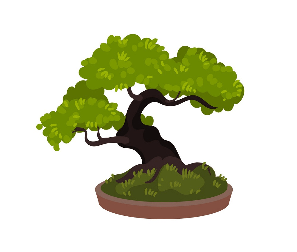 bonsai tree clipart 1