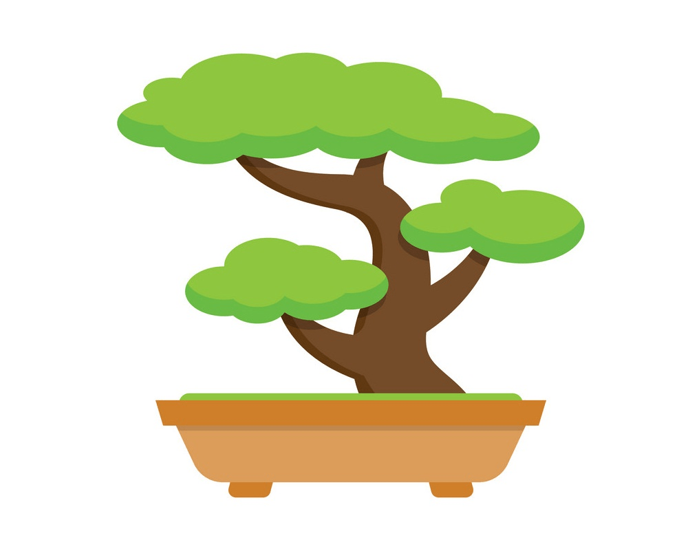 bonsai tree clipart