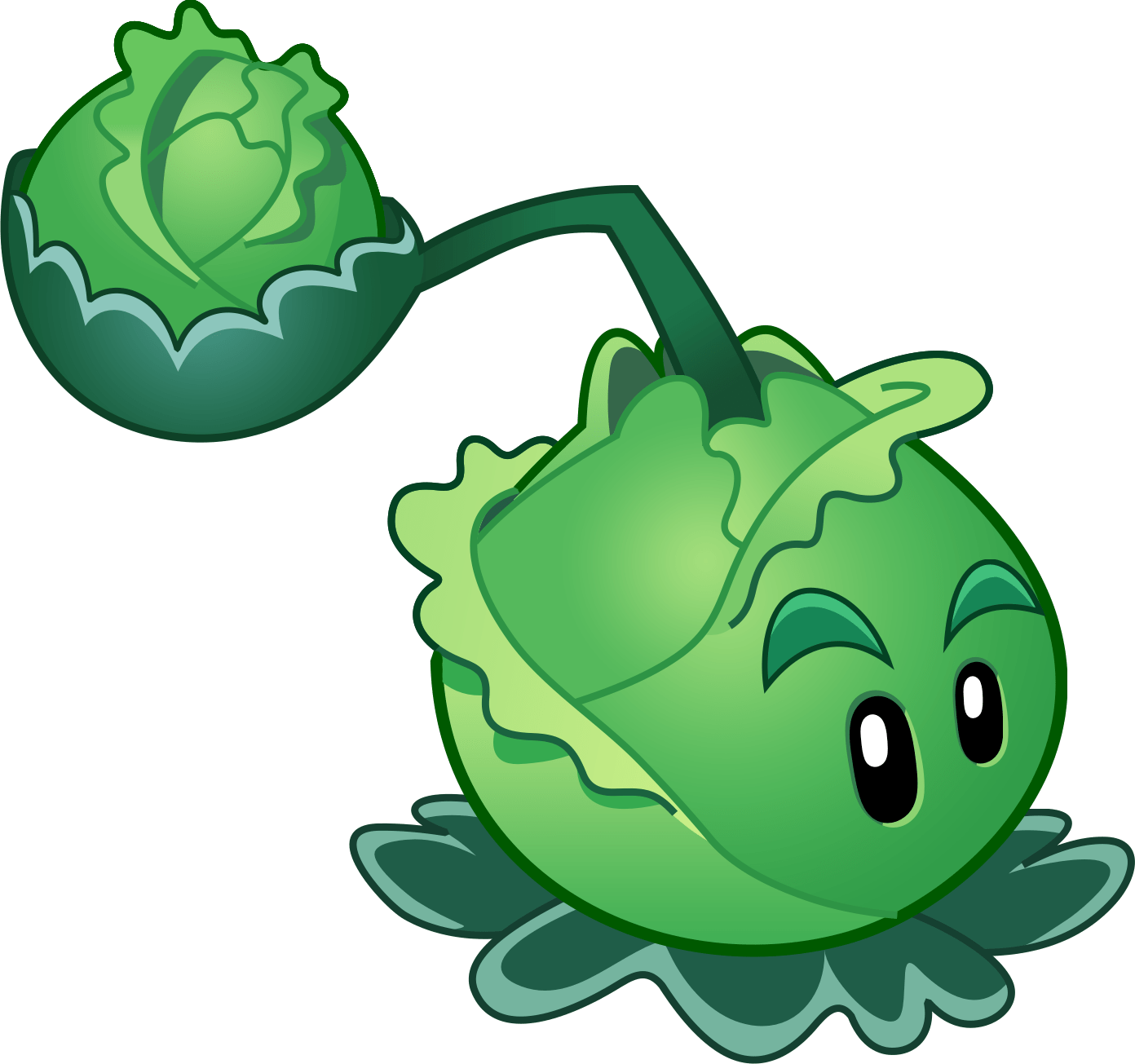 cabbage-pult transparent
