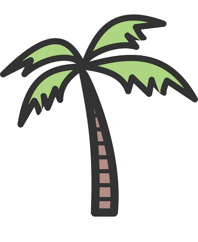 coconut palm tree clipart transparent
