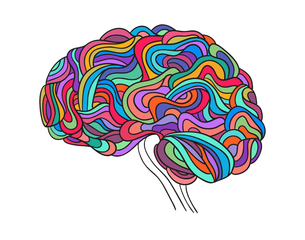 colorful brain clipart transparent