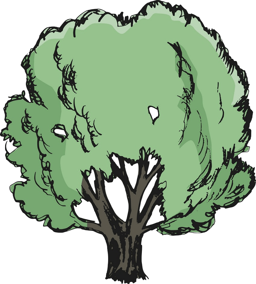 oak tree clipart transparent