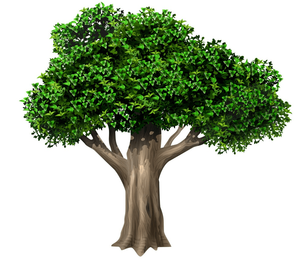 realistic old oak tree png