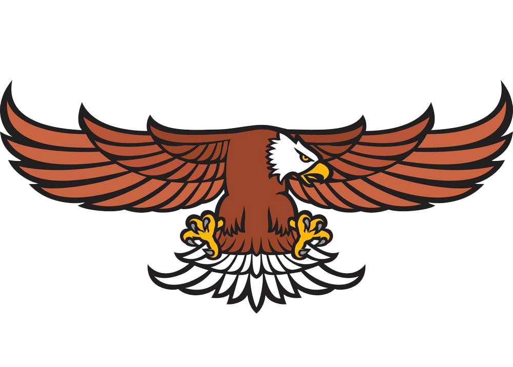 A Flying Eagle clipart transparent
