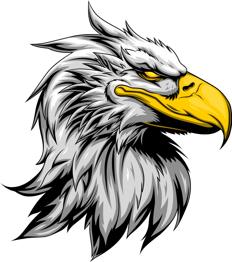 Angry Eagle clipart transparent