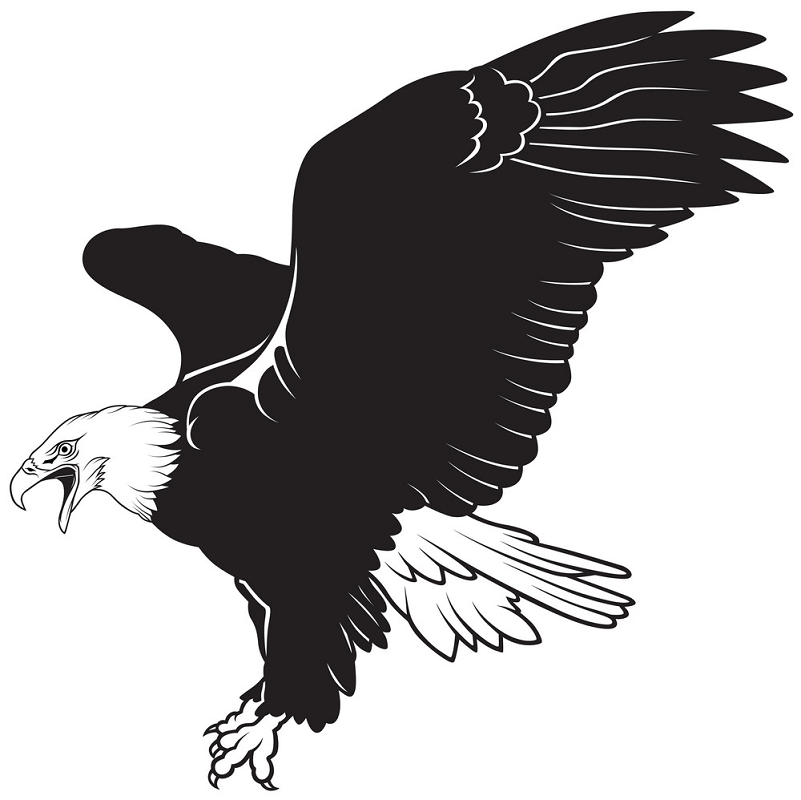 Black and White Eagle clipart 1