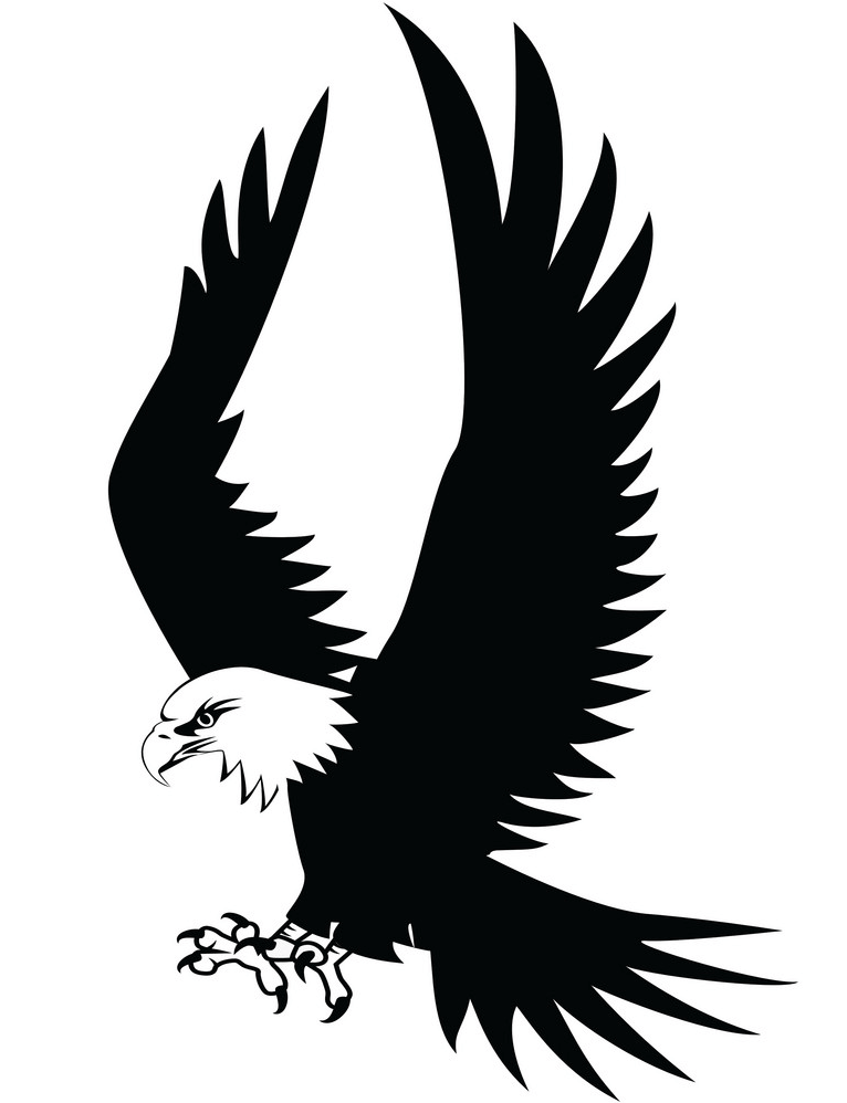 Black and White Eagle clipart