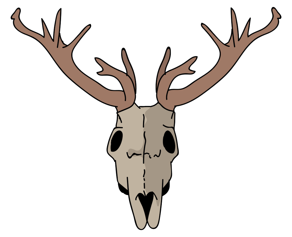 Deer Skull clipart transparent