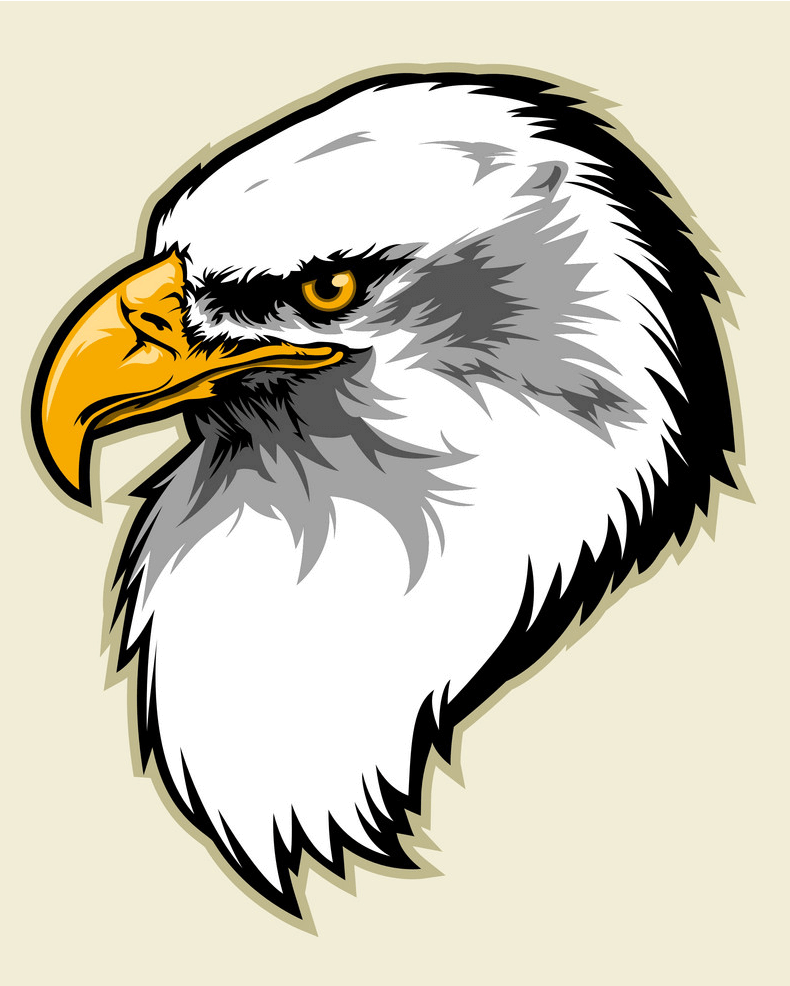 Eagle Head png