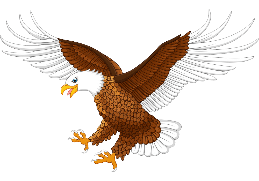 Flying Eagle clipart transparent