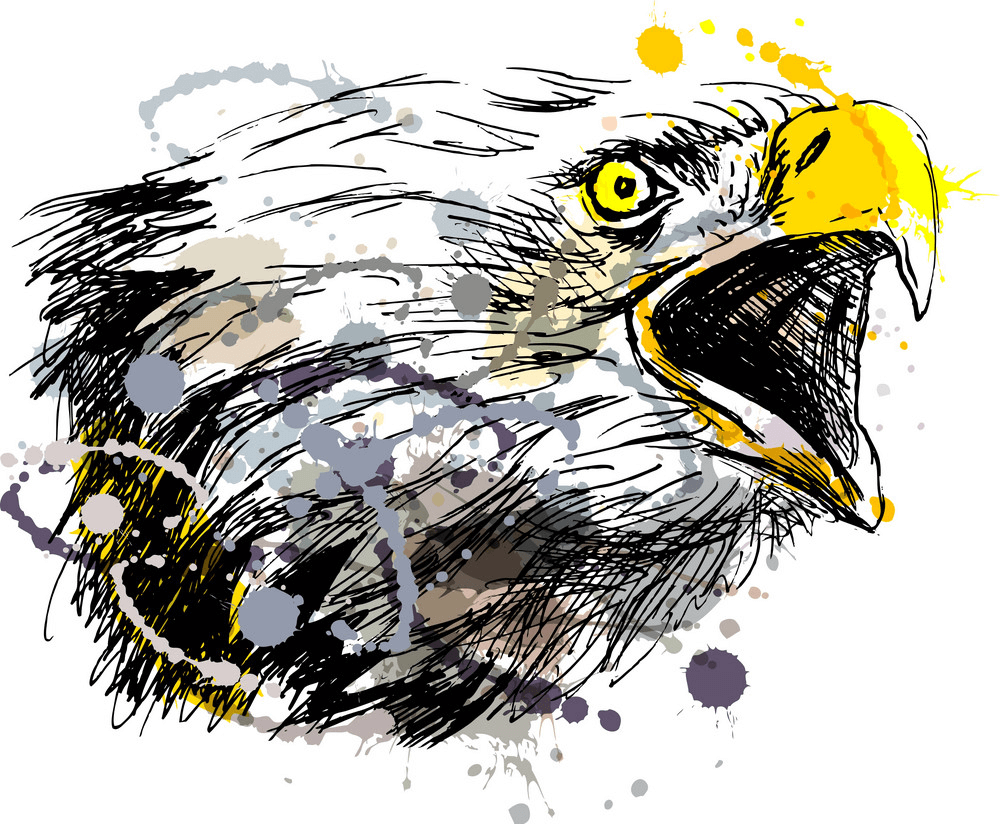 Hand Sketch Eagle clipart