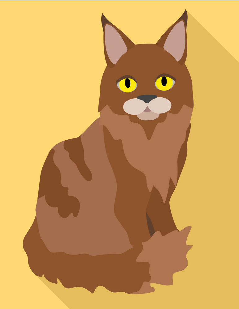 Maine Coon Cat clipart 2