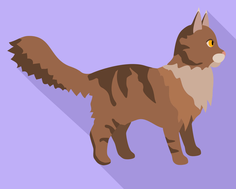 Maine Coon Cat clipart 3