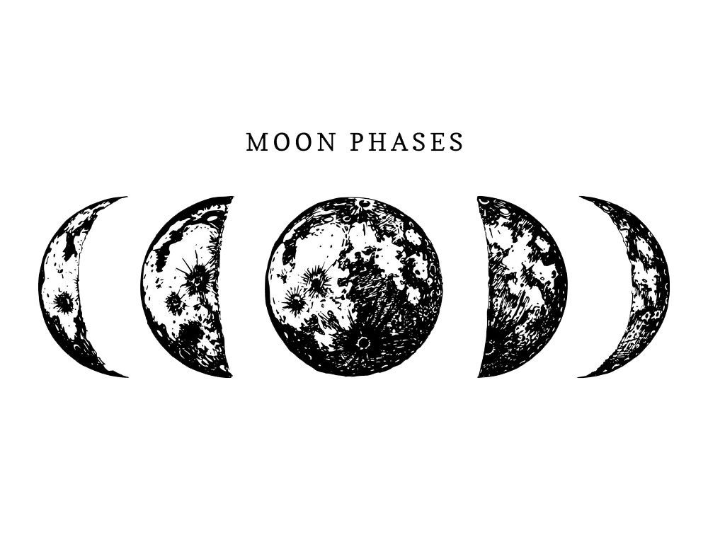 Moon Phases clipart transparent