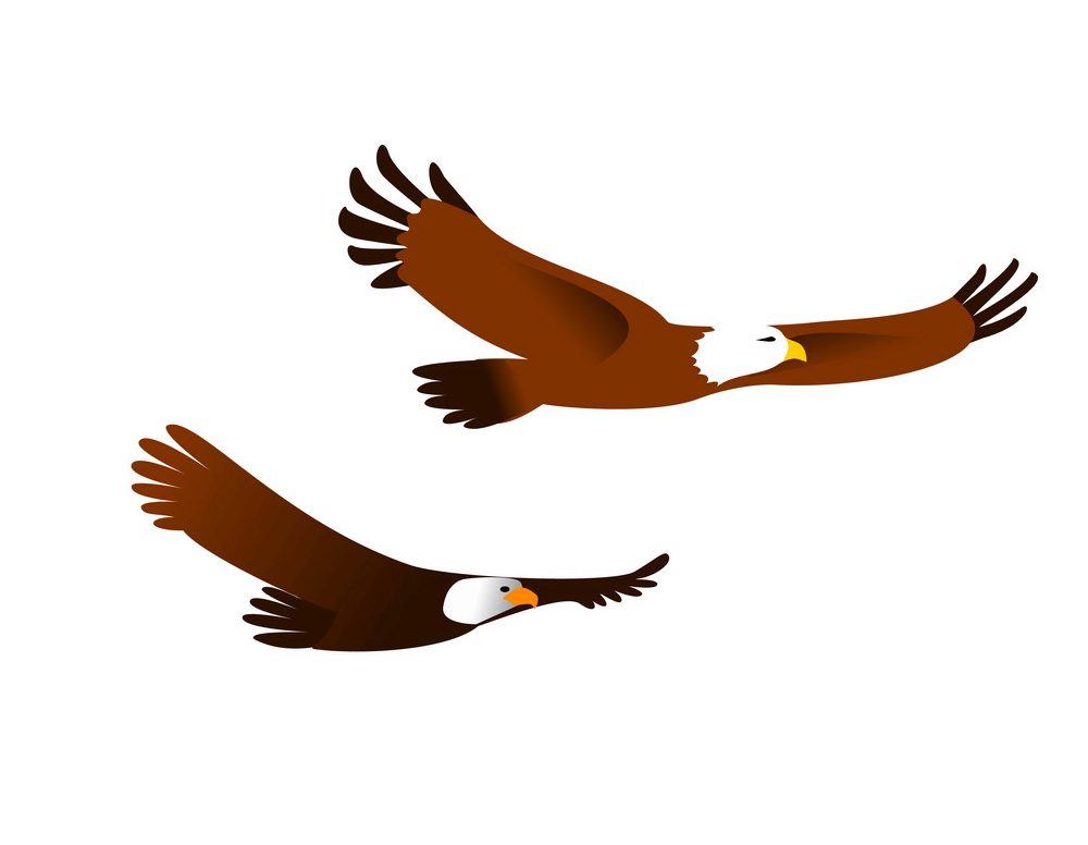 Two Flying Eagle clipart