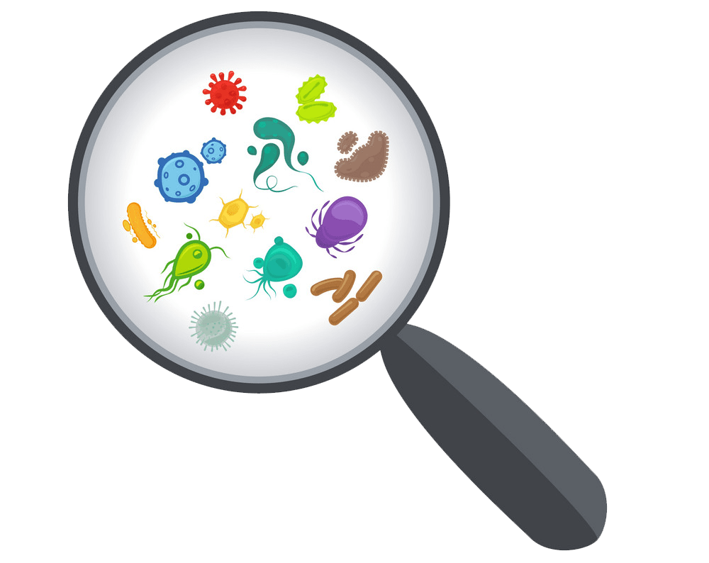 Virus Under Magnifying Glass clipart transparent