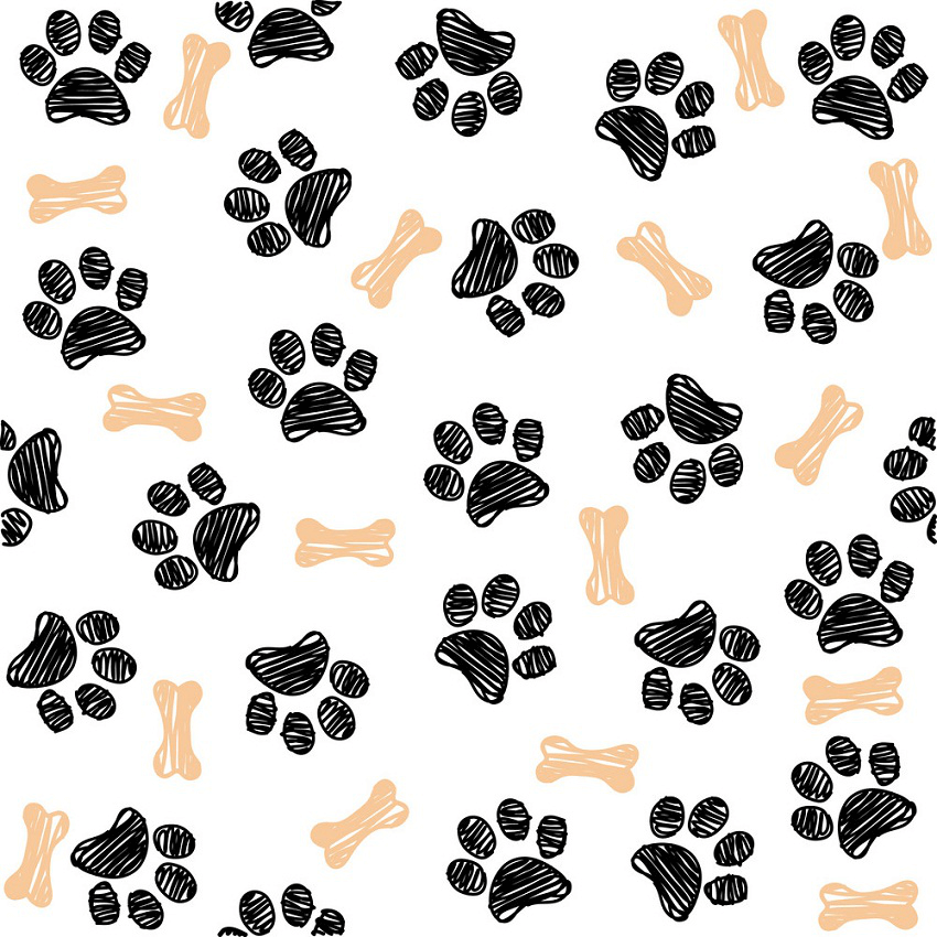 Bone and Paw Print clipart