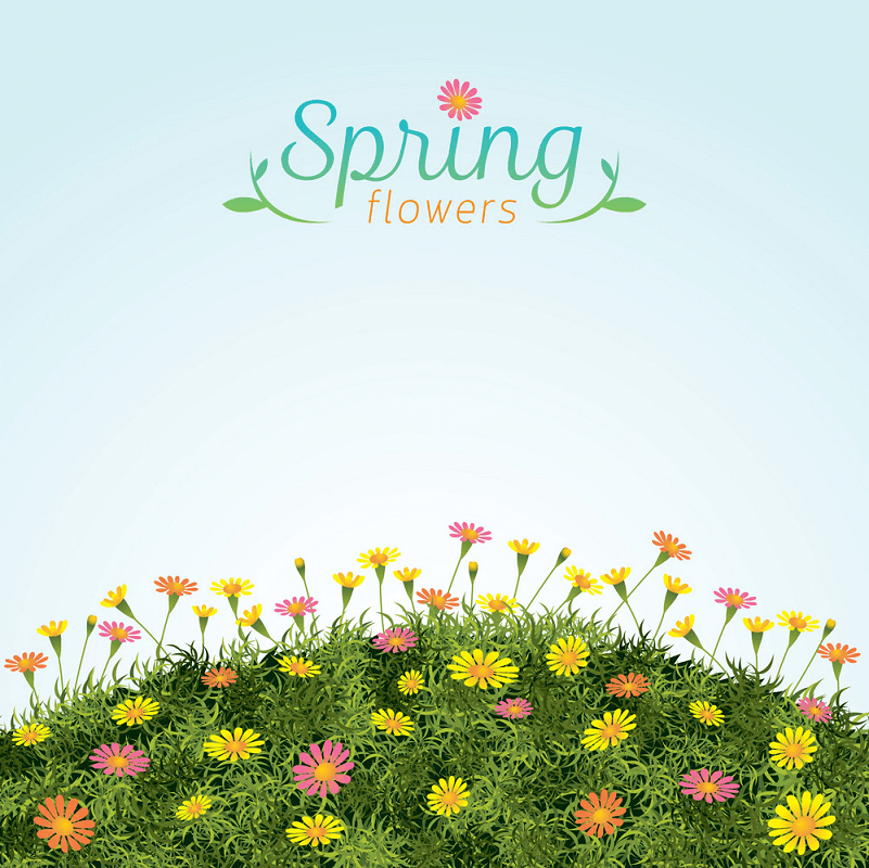 Flowers Spring Field clipart