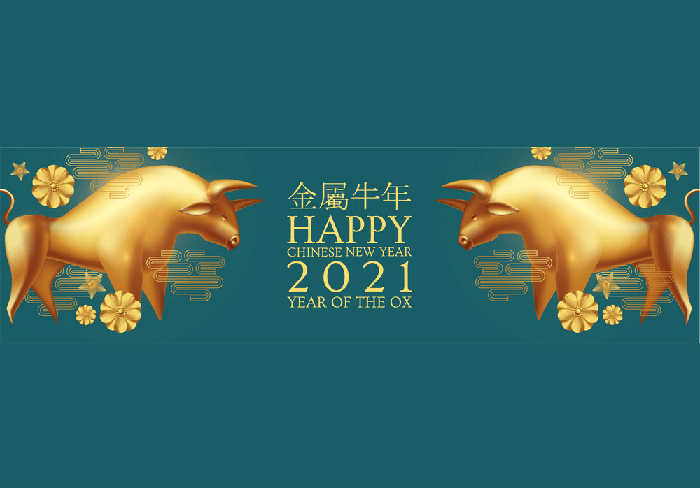 Happy New Year 2021 clipart 8