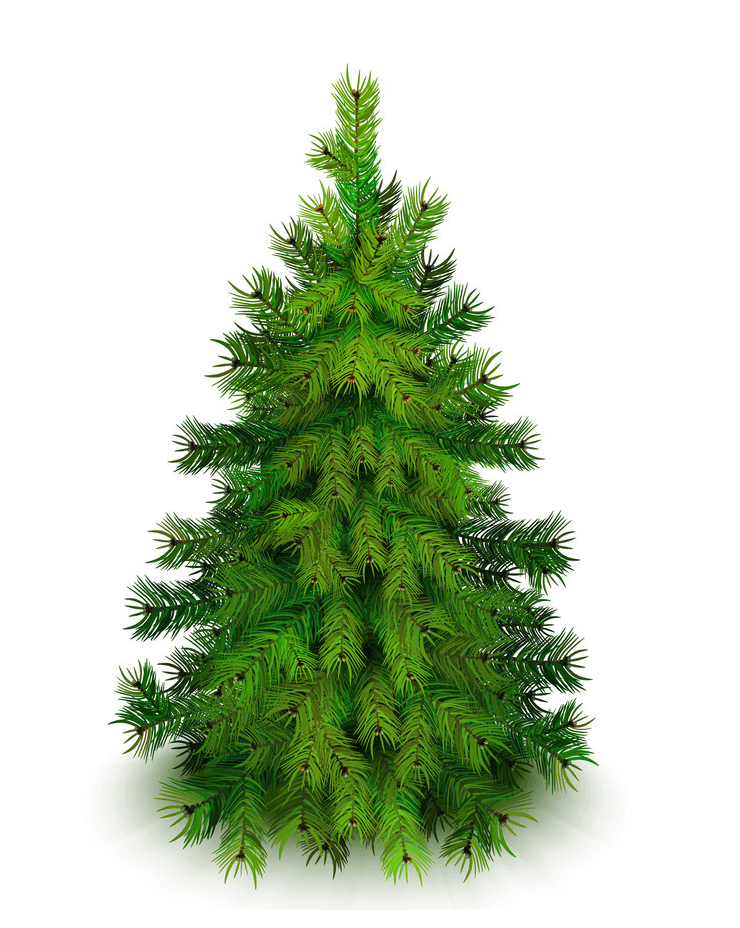Normal Christmas Tree clipart