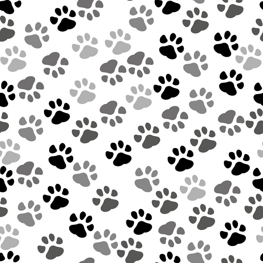 Pattern Paws Print clipart