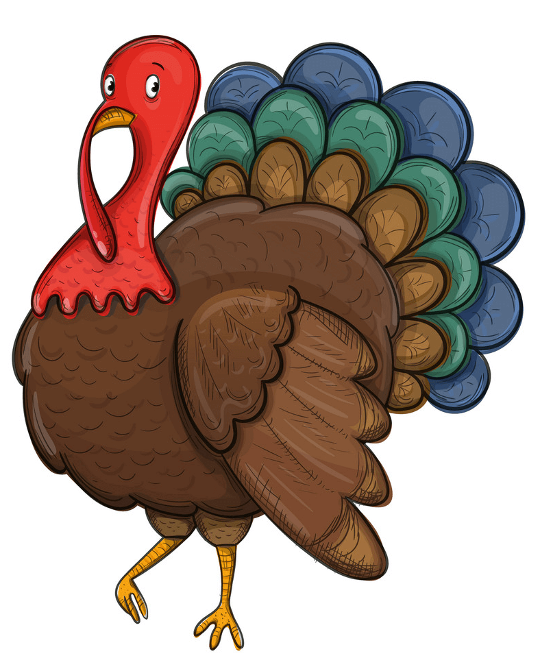 Sketch Turkey clipart