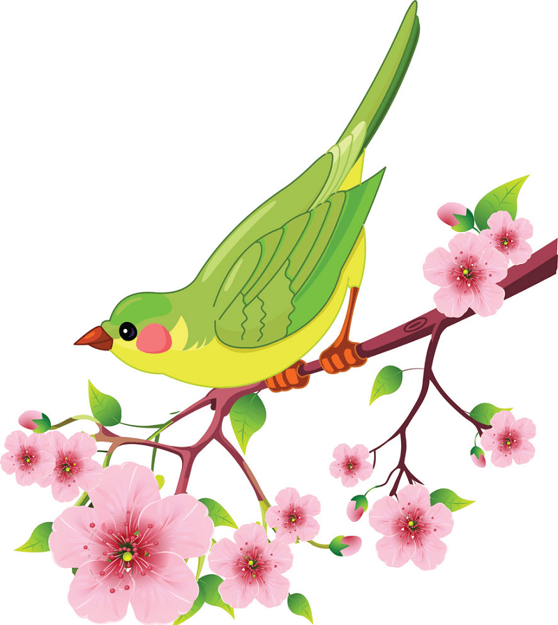Spring Bird clipart