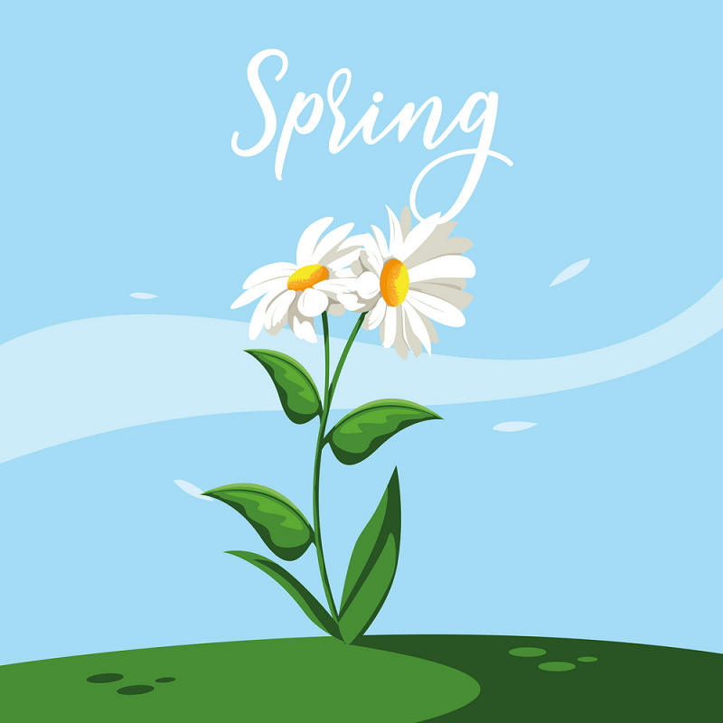 Spring Flower clipart