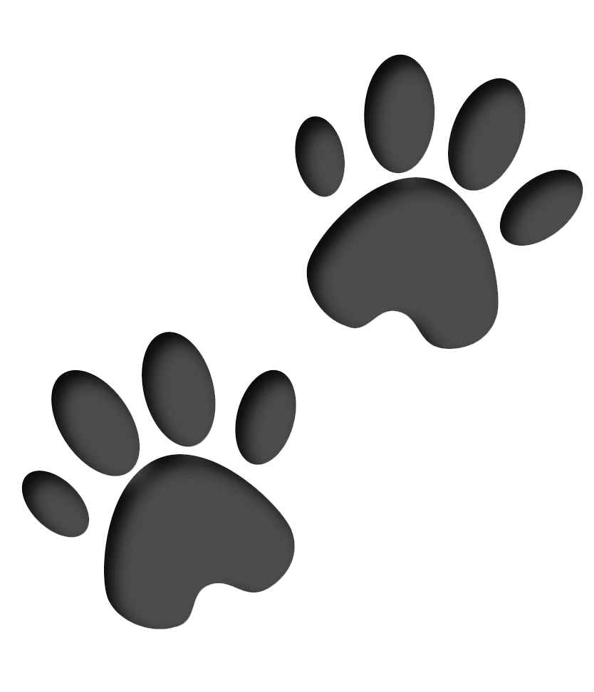 Two Paw Print clipart transparent