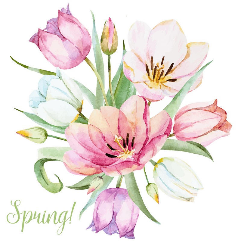 Watercolor Spring Flower clipart