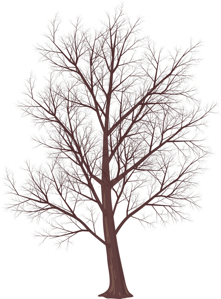 Winter Tree clipart