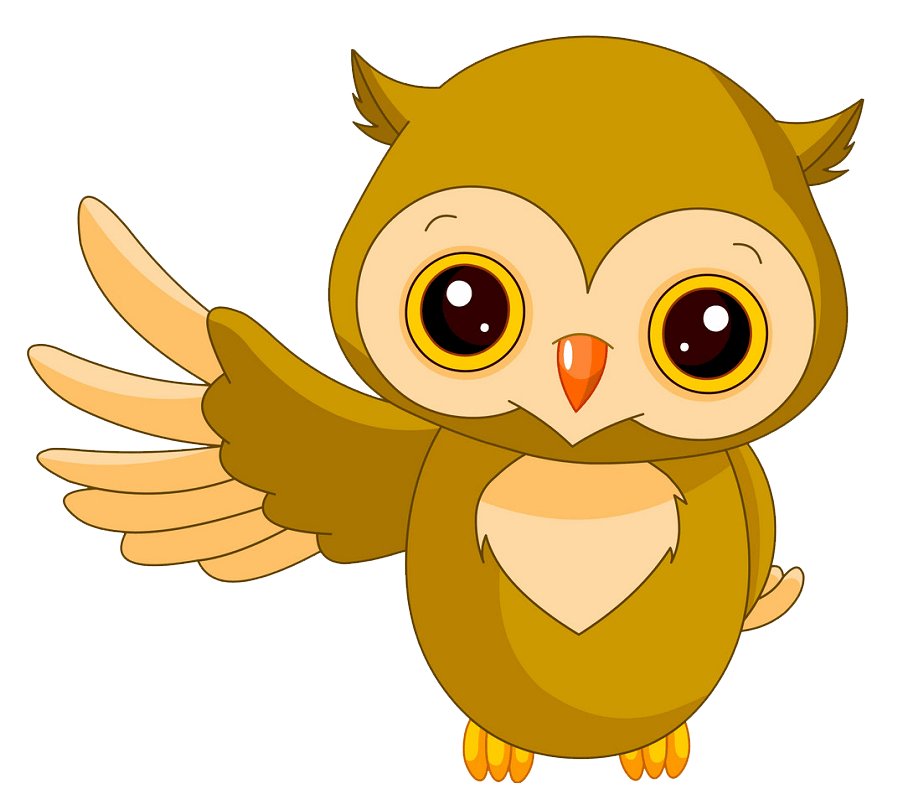 Adorable Owl clipart transparent